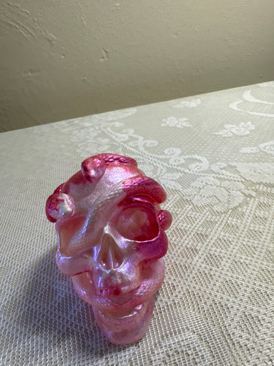 Skull with snake